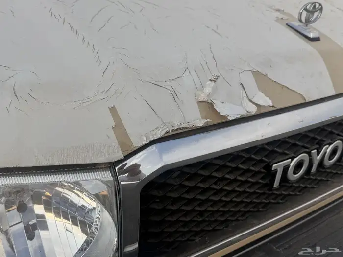 شاص 2023 رفرف 9