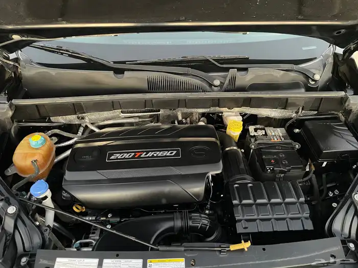 جاك بدي وكاله 20