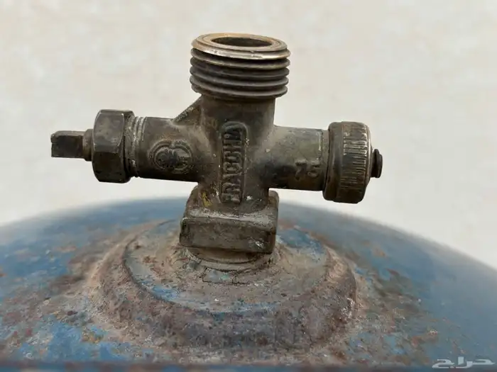 قز عينين واسطوانه 0