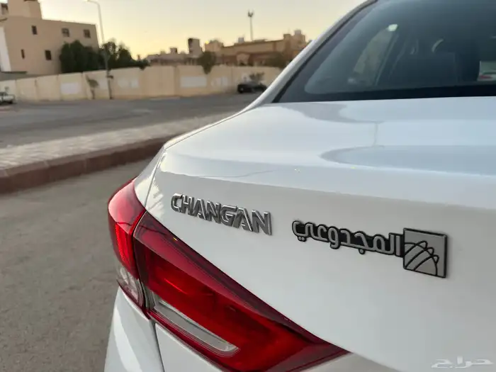 للبيع شانجان السفن 2022 13