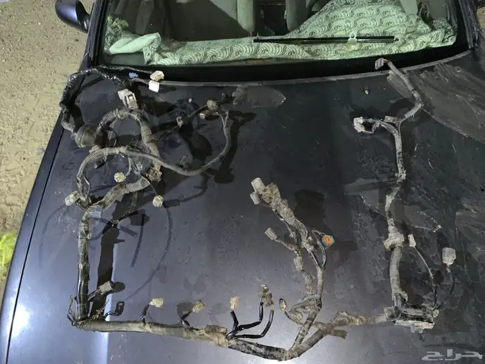 للبيع مكسيما 0