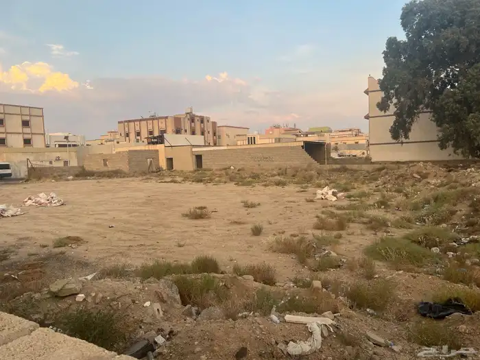 ارض للإيجار 4