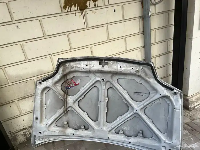 كبوت كوريلا 2003 3