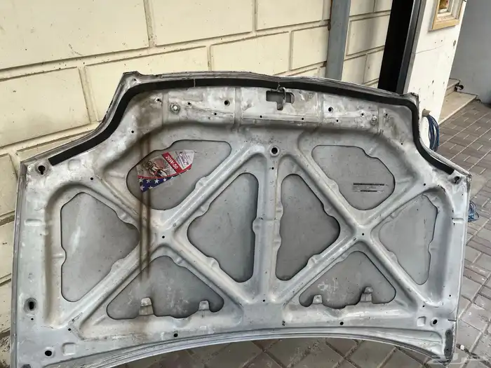 كبوت كوريلا 2003 0