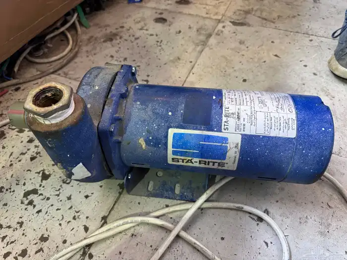 دينمو سمنان جديد ما قد فك قوته 2 حصان 2