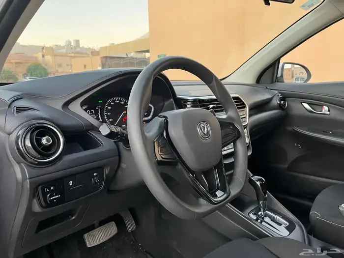 للبيع شانجان السفن 2022 19