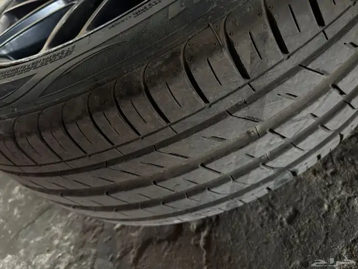 جنوط موستنج شلبي للبيع 2