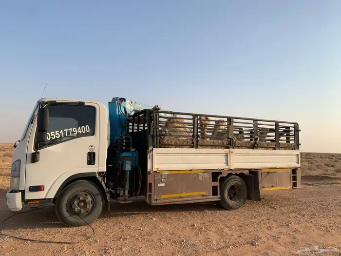 دنه ونش لنقل البل هدروليك 0