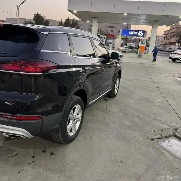 جلي ازكارا 2023 18