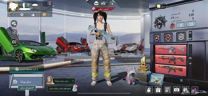 حساب ببجي 13