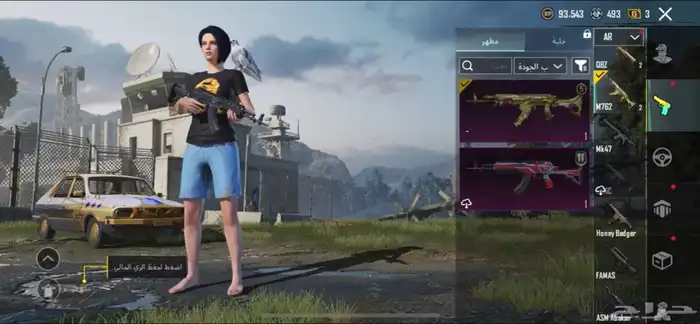 حساب ببجي للبيع 35