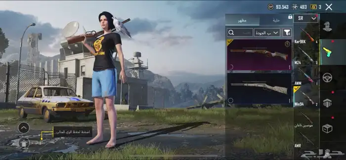 حساب ببجي للبيع 39