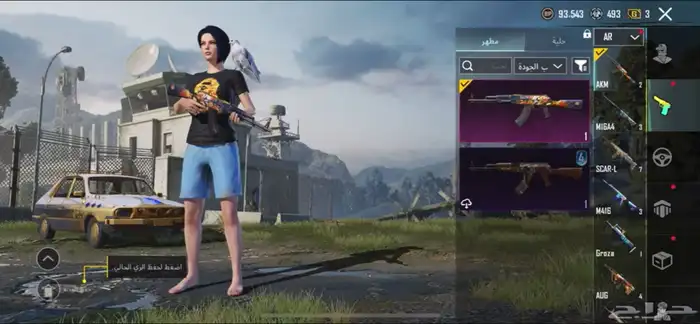 حساب ببجي للبيع 25