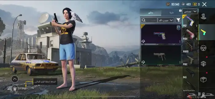 حساب ببجي للبيع 43