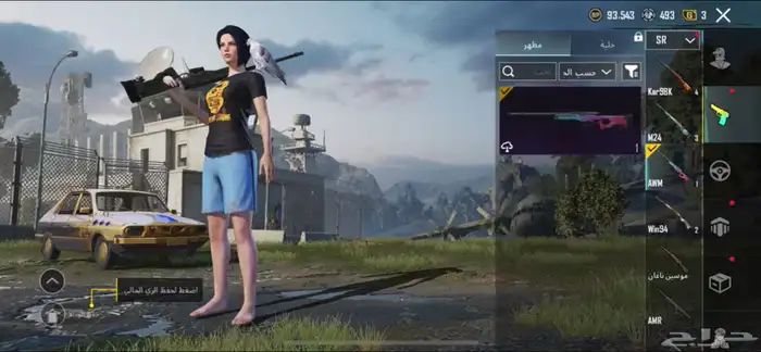 حساب ببجي للبيع 38