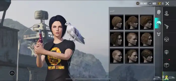 حساب ببجي للبيع 61