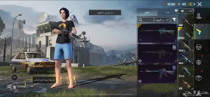 حساب ببجي للبيع 30