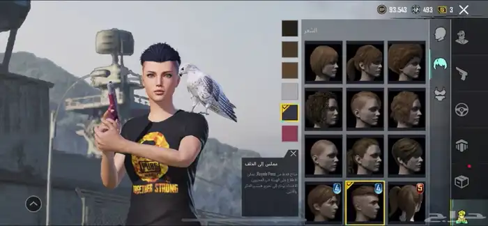 حساب ببجي للبيع 62