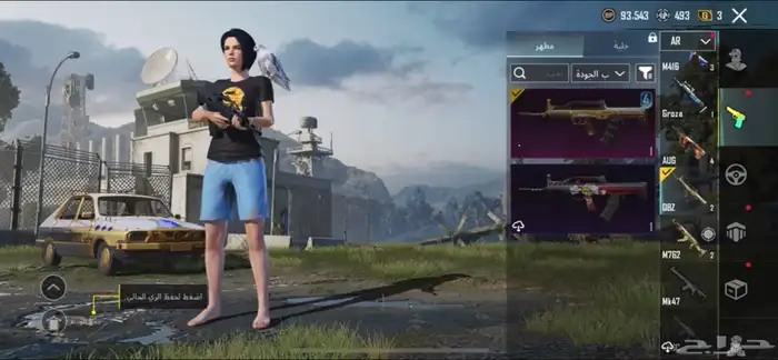 حساب ببجي للبيع 34