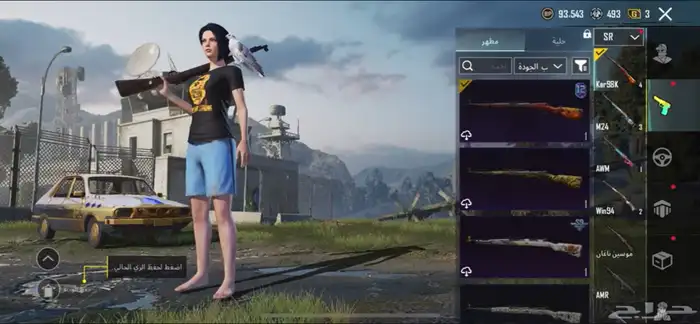 حساب ببجي للبيع 36