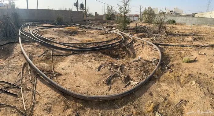 لي بير 3 بوصه 0