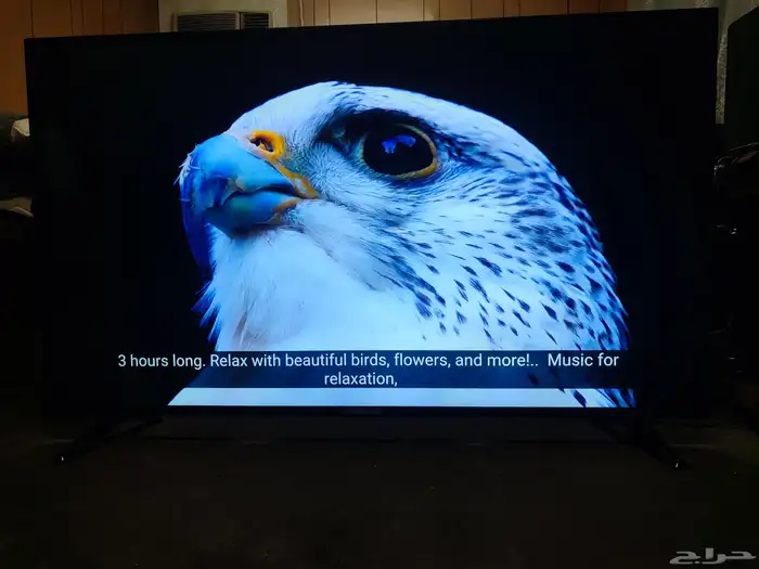 شاشة 55 بوصة سمارت ماركة نيكاي بحالة ممتازه 4