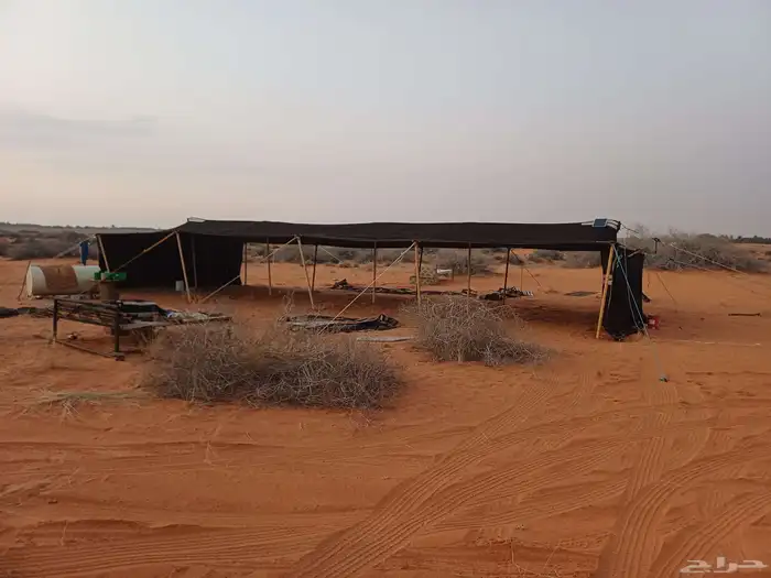 بيت شعر مثولث 0