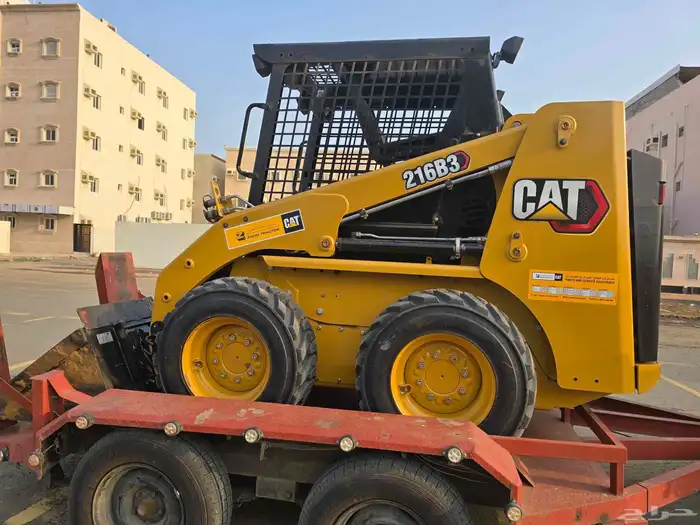 شيول وبوبكان ورصاصة للأيجار 10