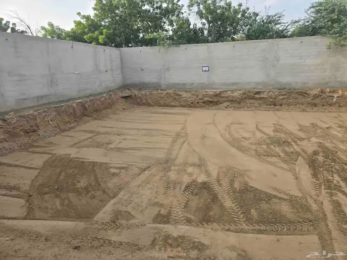 شيول وبوبكان ورصاصة للأيجار 2