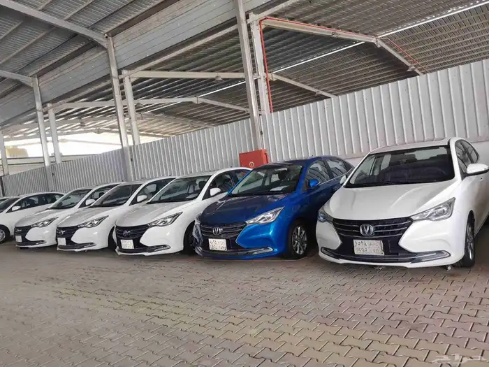 شانجان السفن 2022  2023 0