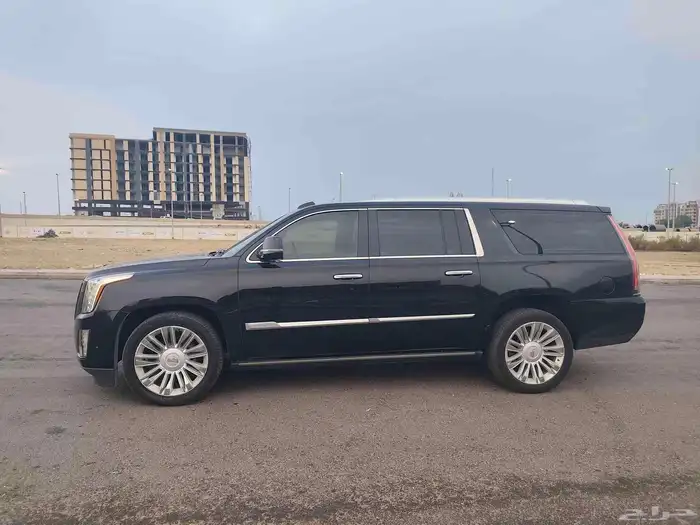 كاديلاك سكليت بلاتينيوم 2019 1