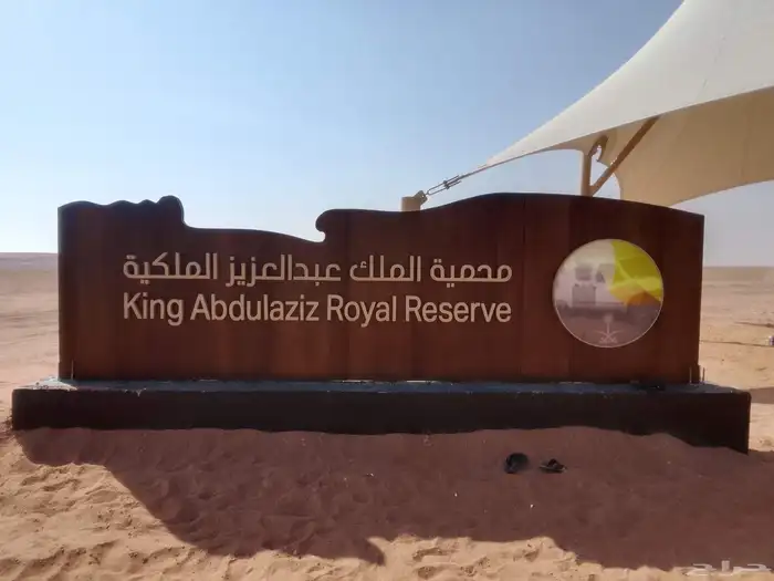 Same design with same light 2