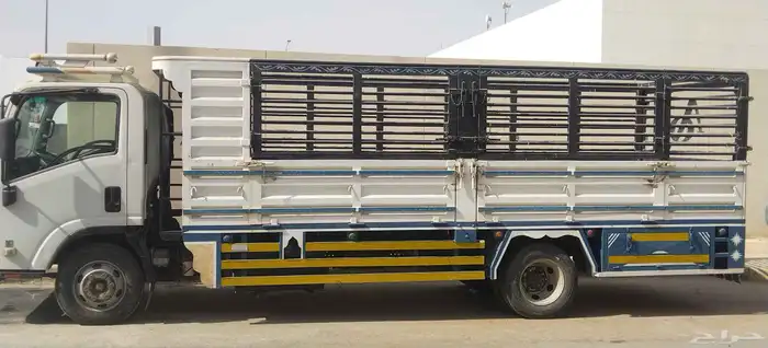 دينا 6 متر مشاوير 1