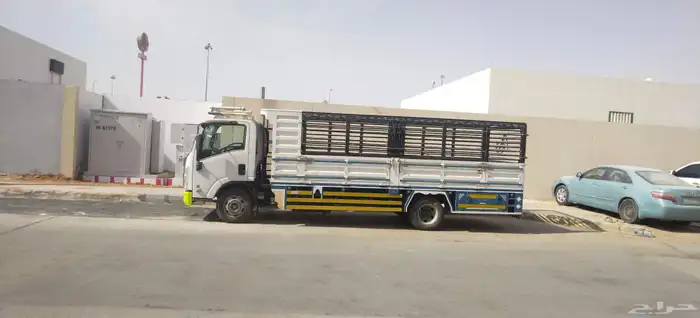 دينا 6 متر مشاوير 0