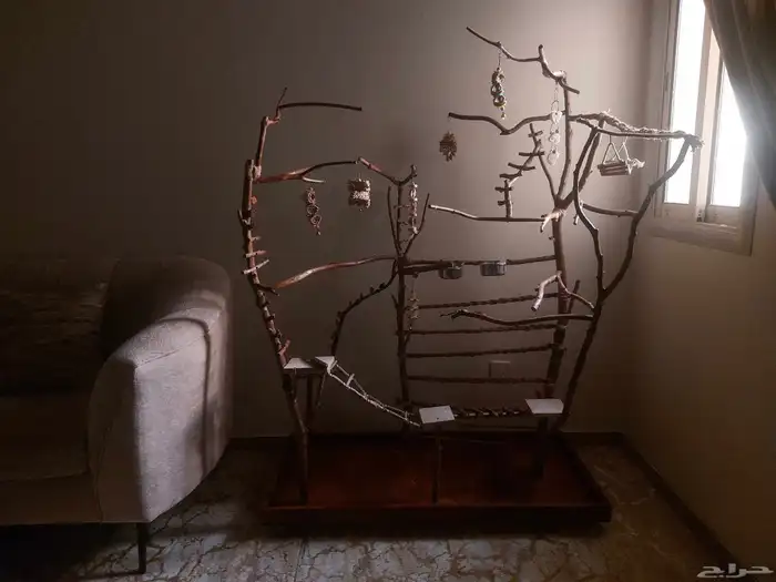 ستاند ببغاء جدييد كبيير بديل للقفص وشي رهيب ومميز 5