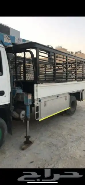 دينا ونش القصيم بريده 0