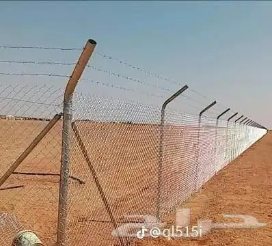 نخل للبيع جميع جميع الأنواع متوفره وجميع المقاسات.وكما يوجد 1