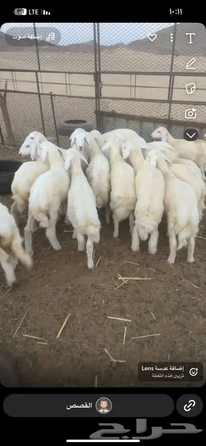 بهم تربيه نظيف 0