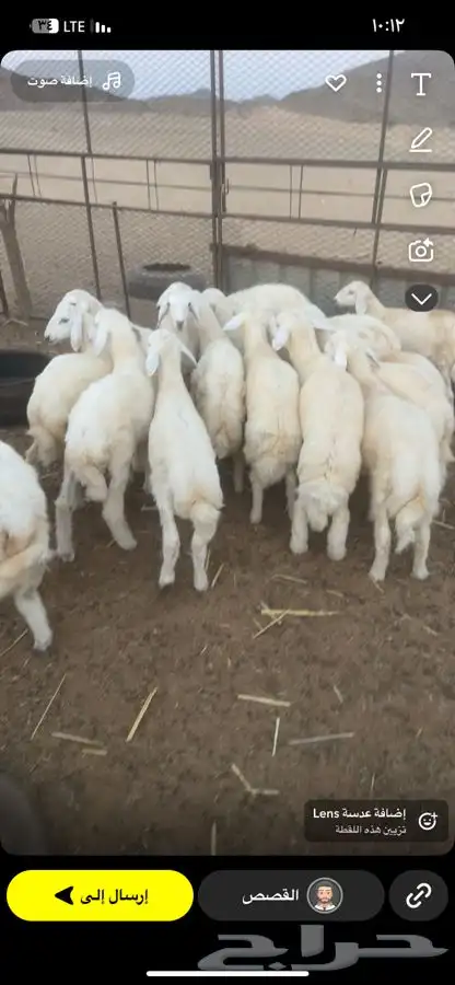 بهم تربيه نظيف 1