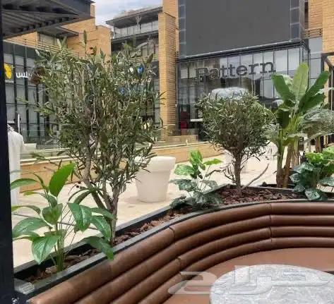 تنسيق الحدائق أي نوع شجر حسب الطلب انشاءلله 4