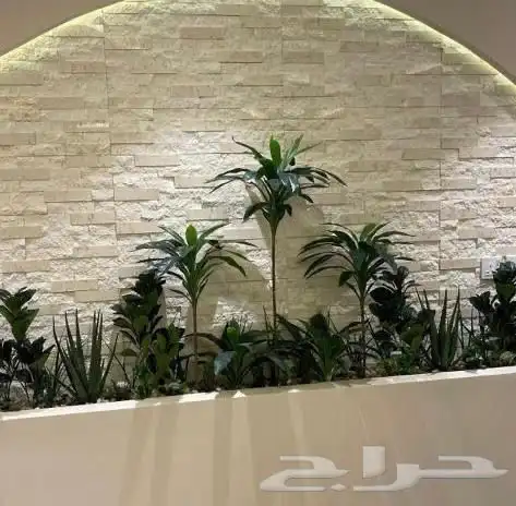 تنسيق الحدائق أي نوع شجر حسب الطلب انشاءلله 6