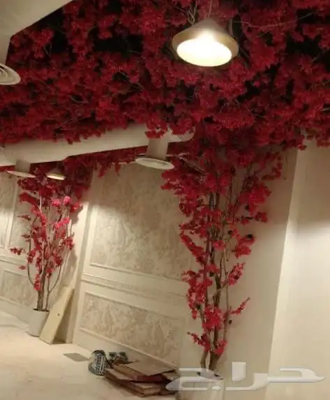 تنسيق الحدائق أي نوع شجر حسب الطلب انشاءلله 7