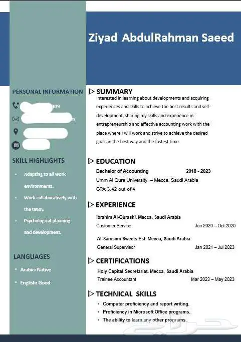 تصميم السيرة الذاتية CV او ATS CV باحترافية واقل تكلفة ووقت 11