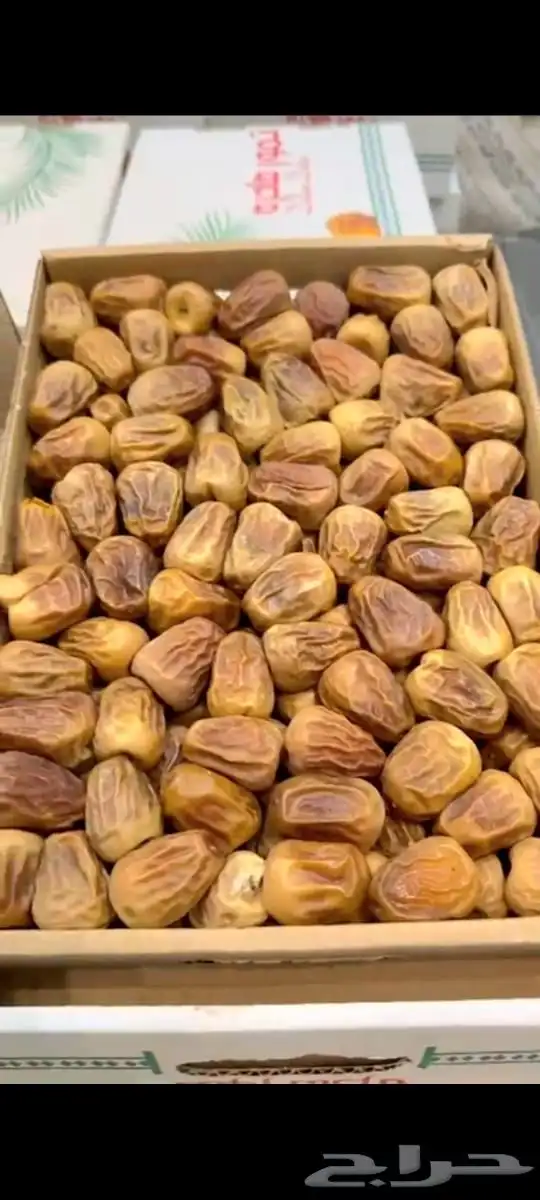 للبيع تمر سكري مفتل فاخر 1