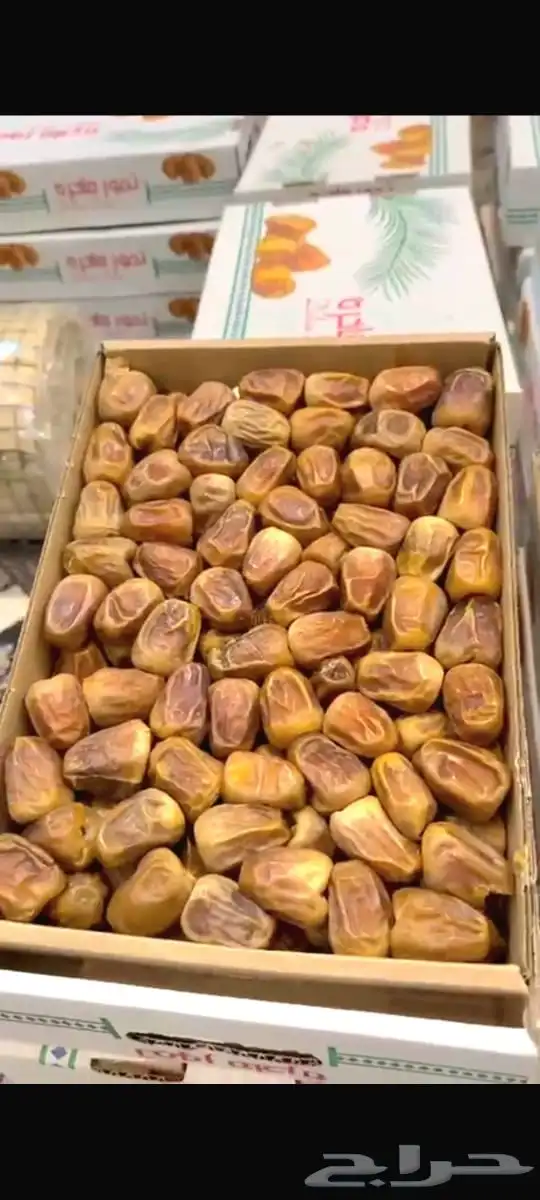 للبيع تمر سكري مفتل فاخر 2