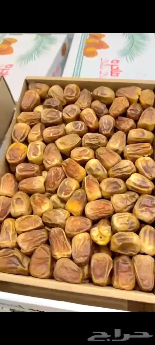 للبيع تمر سكري مفتل فاخر 0