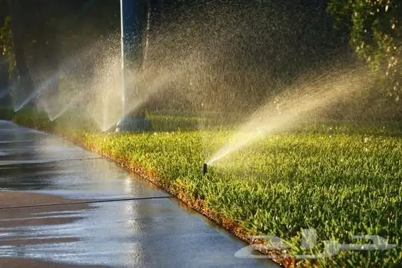 زرع طبيعي عشب طبيعي شبكات راي اشجار نباتات احواض زراعة طبيعي 12