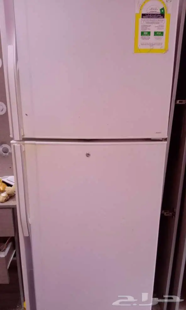 حي العاقول المدينه المنوره 1