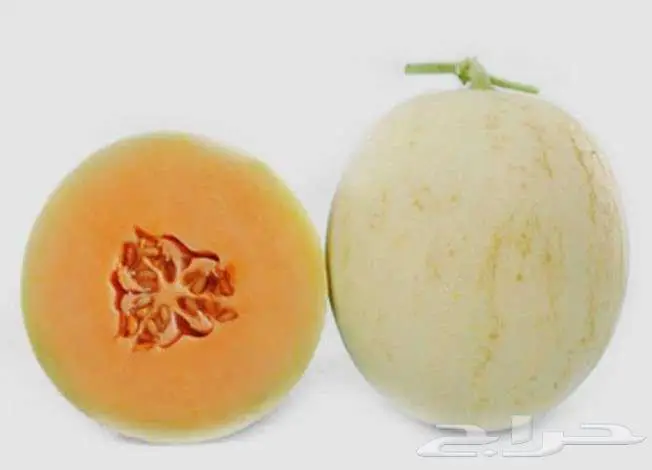 بذور جح وشمام وطماطم وقرع 4