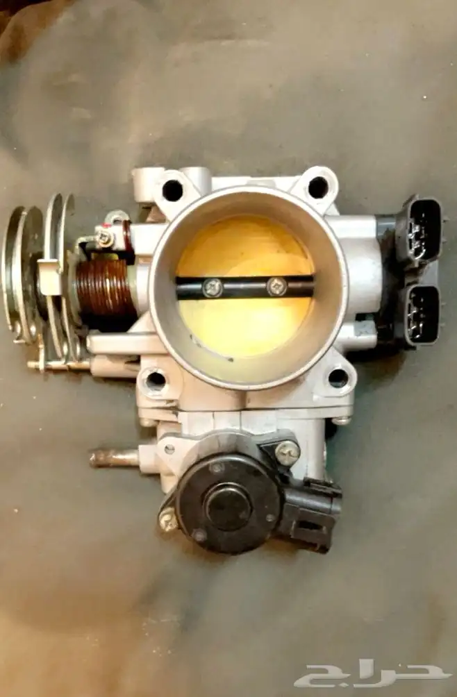 بوابه ثروتل مكسيما 2008 2000 2